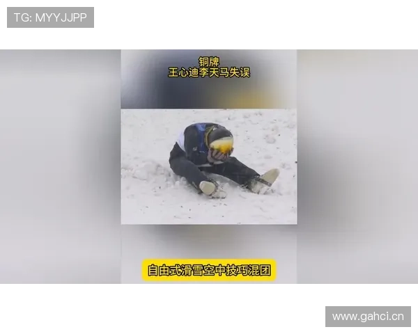 空中技巧混团失误摘铜遗憾收官